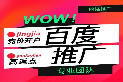 百度推广价格策略：成功案例分享